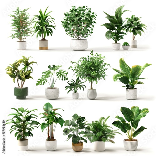 Big Green Fresh Houseplants Set. 