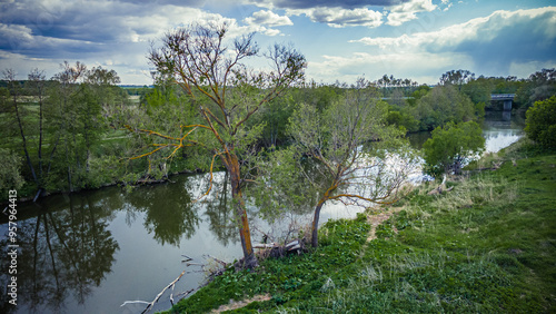 A river in the wild in summer photo