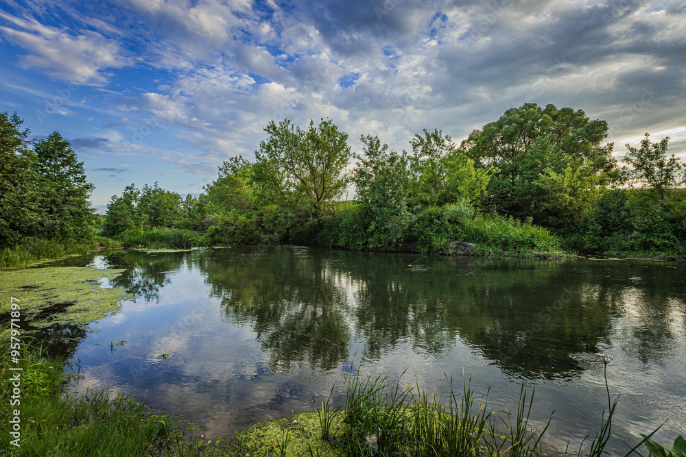 Fototapeta premium A river in the wild in summer