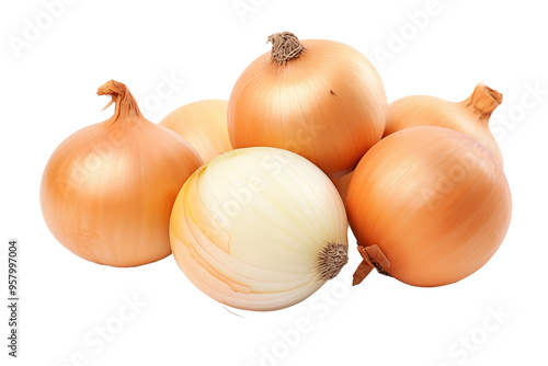 Fresh bulbs of onion