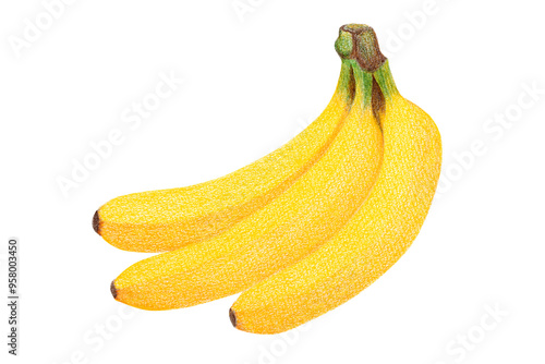バナナのイラスト