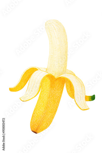 バナナのイラスト