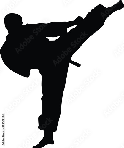 Karate men pose silhouette illustration