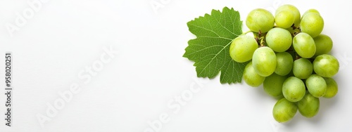  A white background showcases a cluster of green grapes and a single leaf ..Or, if a text or picture placement is specified:..On photo