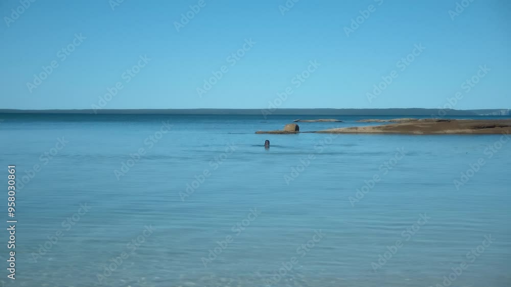 Aerial drone clear water an boat South Coast Jervis Bay Shoalhaven travel tourism NSW Australia Aerial drone clear water an boat South Coast Jervis Bay Shoalhaven travel tourism NSW Australia