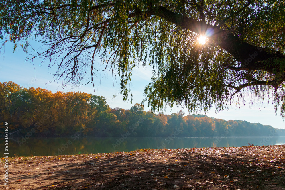 Obraz premium beautiful autumn landscape with river and forest on bright sunny day, white clouds in blue sky, sunlight and shadows