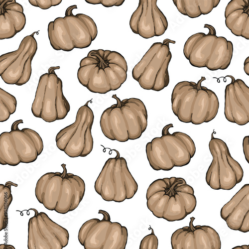 Brown pumpkin vector seamless pattern. Autumn harvest pumpkin. halloween party paper. Healthy organic food concept, pumpkins on while background, hand drawing