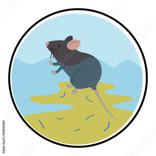 leptospirosis infection disease from leptospira bacteria in rat urine