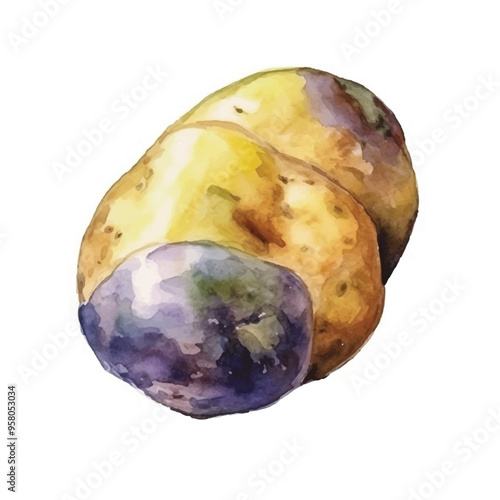 watercolor of potato isolated white background