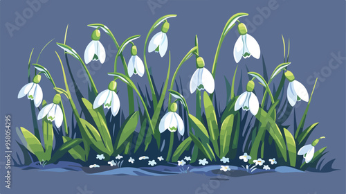 Snowdrop Flowers Concept Symbol of Spring Season