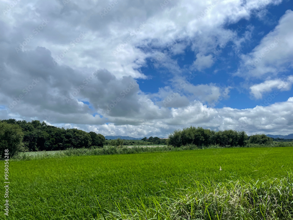 natural nature
Huge cloud and land natural nature
Huge cloud and land