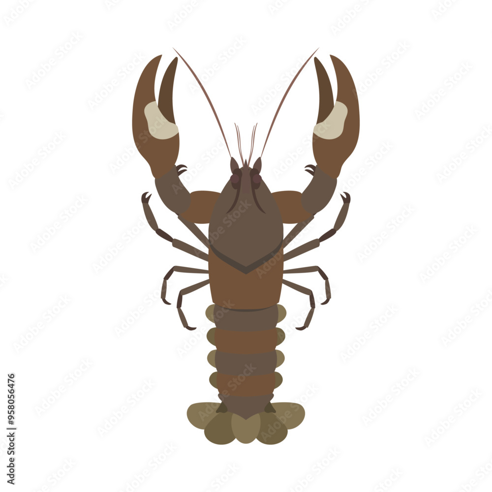Obraz premium ウチダザリガニ。フラットなベクターイラスト。 Signal crayfish. Flat vector illustration.