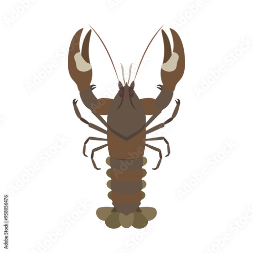 ウチダザリガニ。フラットなベクターイラスト。
Signal crayfish. Flat vector illustration.