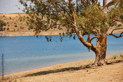 Extremadura landscape with Guadiana river. Dryness in Spain photo