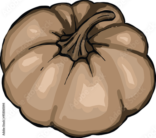Brown pumpkin isolated vector clip art. Autumn harvest pumpkin. Healthy organic food concept, element on isolated white background, hand drawing