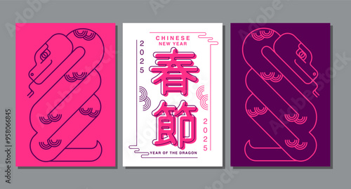 Lunar new year, Chinese New Year 2025 , Year of the Snake , line art ,outline ,Geometric shapes
