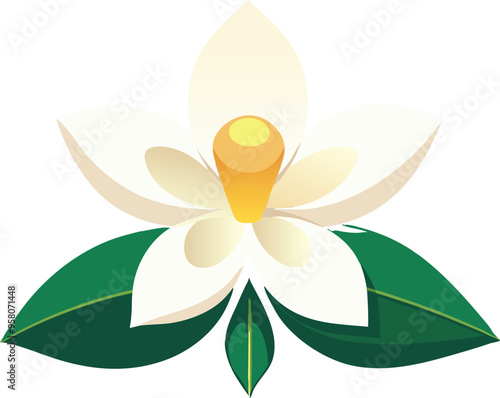 Flower Jasmine art isolated vector illustration