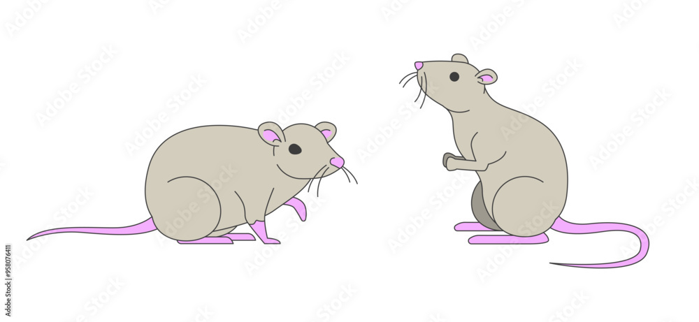 Couple of cute domesticated rats 2D cartoon characters. Adorable small animals asking for food. Funny rodent pets isolated personages flat vector on white background. Spot illustration colorful Couple of cute domesticated rats 2D cartoon characters. Adorable small animals asking for food. Funny rodent pets isolated personages flat vector on white background. Spot illustration colorful