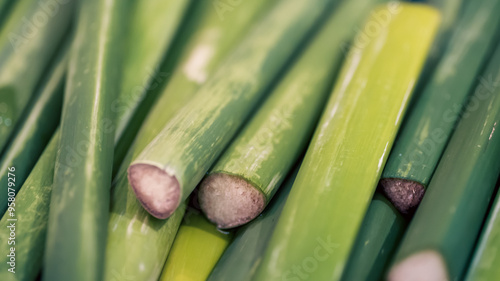 fresh harvested papyrus plantclose up photo