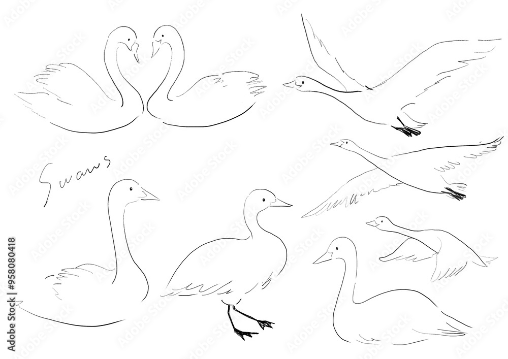 Fototapeta premium かわいい白鳥の手書き白黒イラスト セット