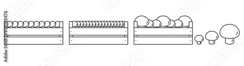 Champignon in wooden box icon outline. Vegetable in box.