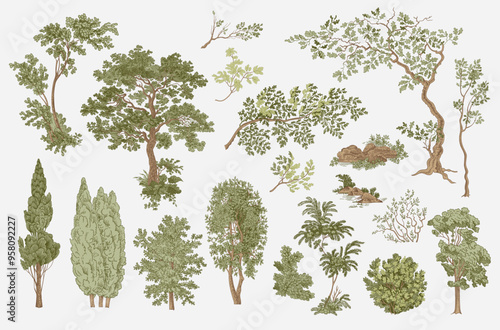 Set of trees and bushes. Woodland. Landscape elements. Vector vintage illustration.