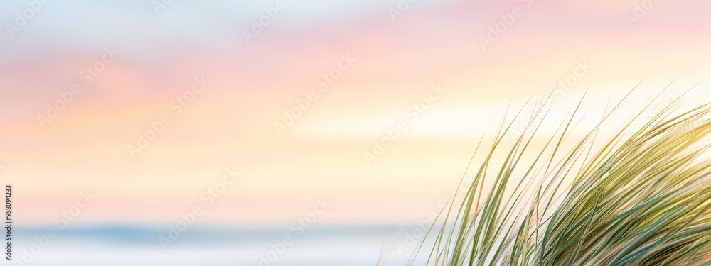 Grass in foreground, pink and blue sky in background Grass in foreground, pink and blue sky in background