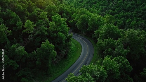 Aerial Road Winding Path: Aerial view of a winding road through a forest canopy, capturing the beauty of natural landscapes.