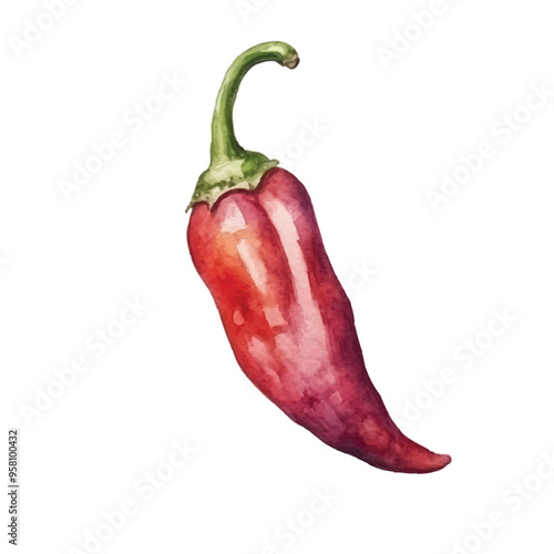 watercolor Cayenne pepper isolated white background