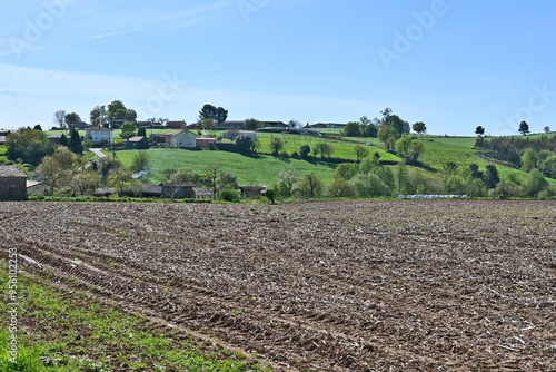 Paesaggi di Galizia, campagna colline e panorami sul cammino Primitivo di Santiago di Compostela fra Melide ed Arzua - Galizia, Spagna	 photo