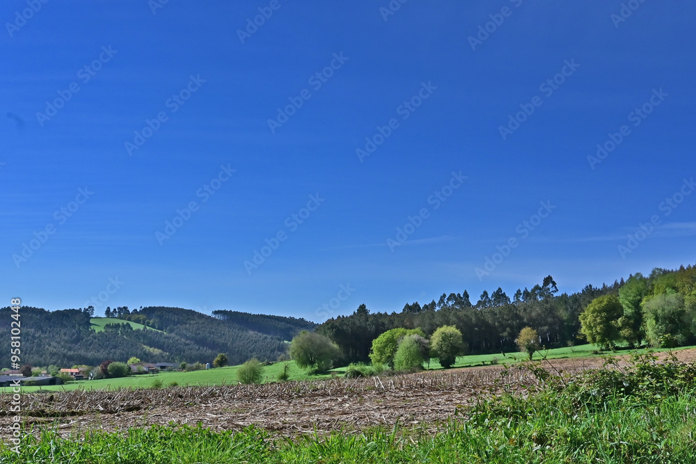 Obraz premium Paesaggi di Galizia, campagna colline e panorami sul cammino Primitivo di Santiago di Compostela fra Melide ed Arzua - Galizia, Spagna 