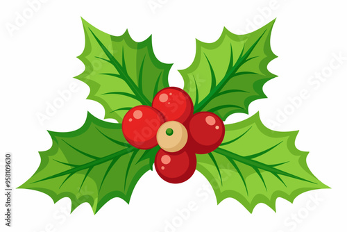 Christmas holly berry leaves vector art, Christmas leaves icon on white background