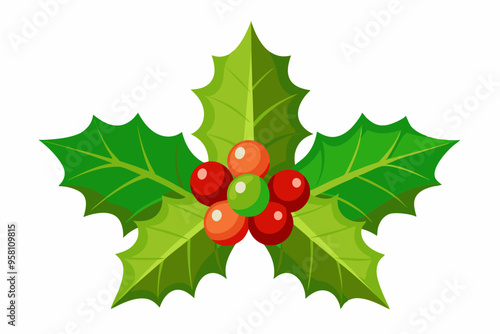 Christmas holly berry leaves vector art, Christmas leaves icon on white background