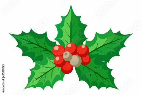 Christmas holly berry leaves vector art, Christmas leaves icon on white background