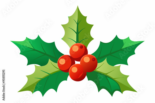 Christmas holly berry leaves vector art, Christmas leaves icon on white background