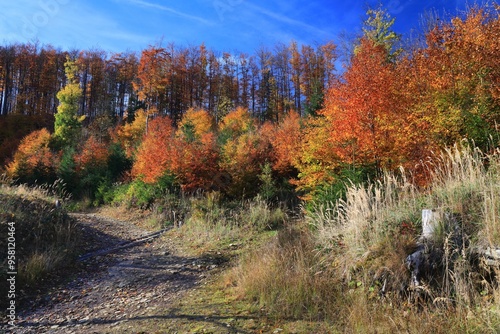 Fototapeta Naklejka Na Ścianę i Meble -  Fall hiking in Beskids mountains in Poland