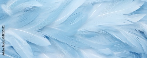 Pastel feather background