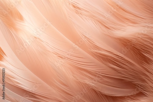 Pastel feather background