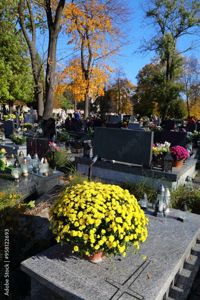 Obraz premium All Saints Day cemetery flowers in Poland