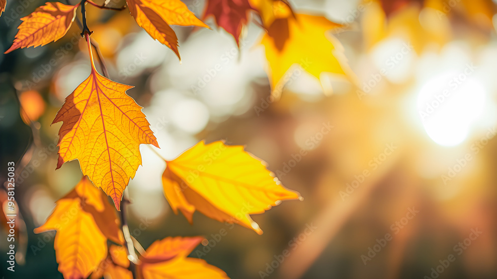 Beautiful colorful leaves in autumn sunny day in foreground and blurry background. Seasonal nature background, blur bokeh forest trees, fall foliage. Relaxing tranquil peaceful natural pattern. AI gen Beautiful colorful leaves in autumn sunny day in foreground and blurry background. Seasonal nature background, blur bokeh forest trees, fall foliage. Relaxing tranquil peaceful natural pattern. AI gen