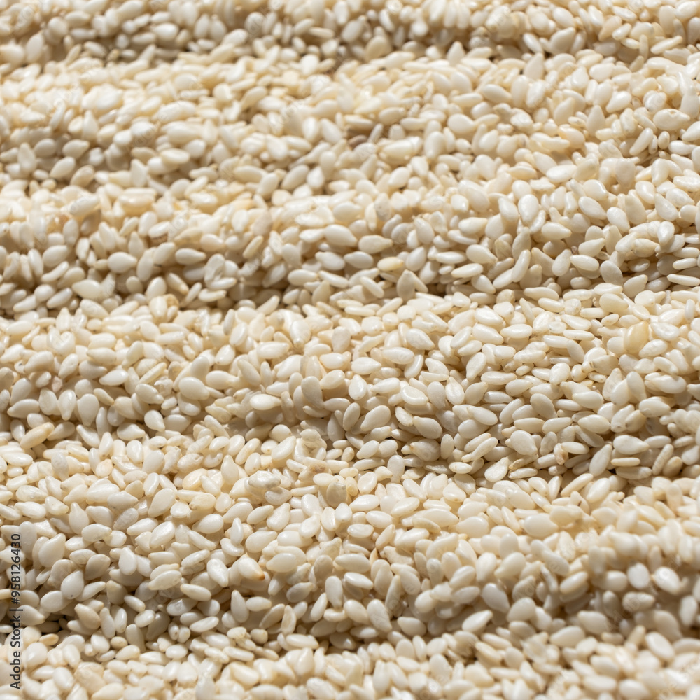 White sesame background, macro top view. White sesame background, macro top view.