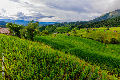 Panoramic nature background from high mountains overlooking the beautiful scenery below, green rice fields, big and small trees, beautiful rugged mountains from the viewpoint.