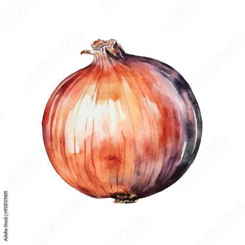 watercolor of onion isolated white background
