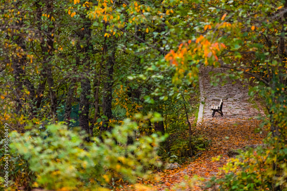Fototapeta premium Autumn Season in the Savsat Villages Photo, Şavşat Artvin, Turkiye (Turkey)