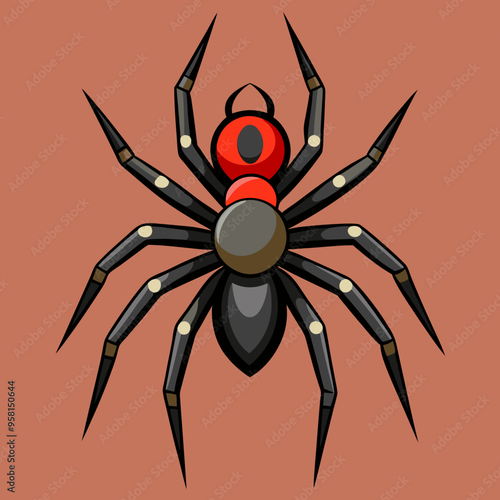 vector illustration of spider vector illustration of spider