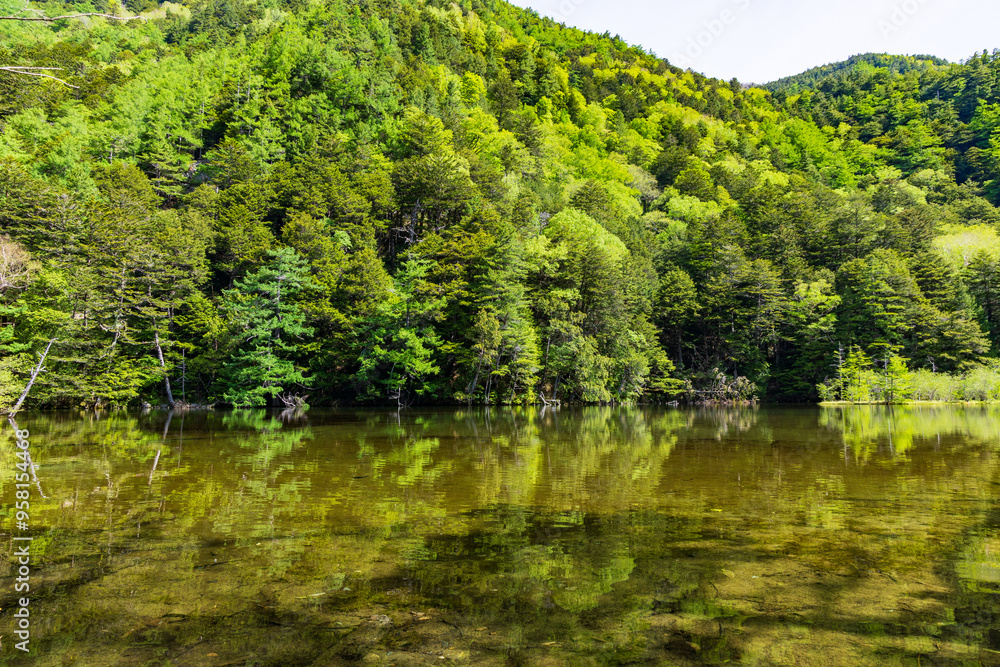 日本の風景・初夏　長野　新緑の上高地　明神池