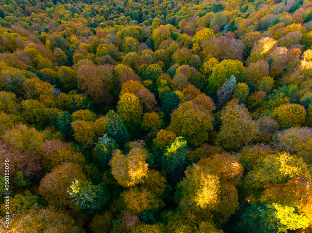 Autumn Season in the Yedigoller Drone Photo, Yedigoller National Park Bolu, Turkiye (Turkey) Autumn Season in the Yedigoller Drone Photo, Yedigoller National Park Bolu, Turkiye (Turkey)