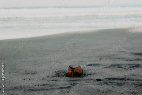 Coconut shells lying on the beach sand.