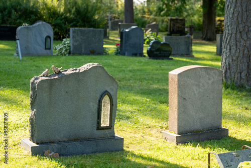 Old cemetery scenery on a sunny day