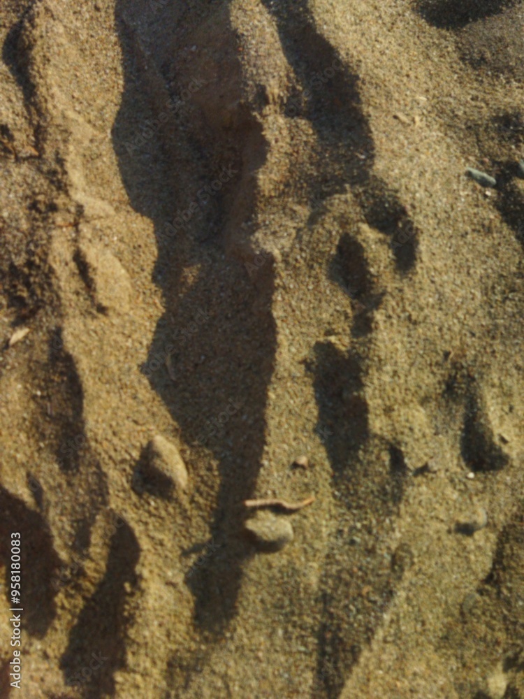 A Top-View Perspective of Sunlit Beach Grains A Top-View Perspective of Sunlit Beach Grains